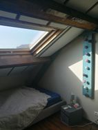 Photo n°6