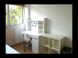 Photo n°6