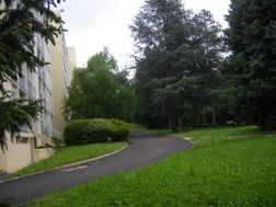 Photo n°4