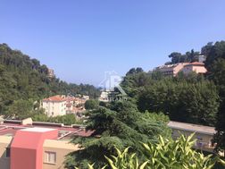 Photo n°4