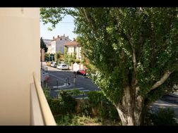 Photo n°8