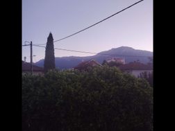 Photo n°6