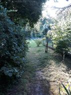 Photo n°4