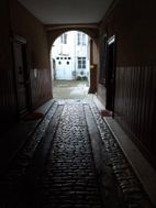 Photo n°6