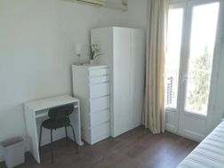 Photo n°6