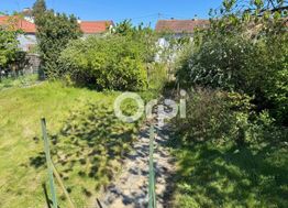 Photo n°14