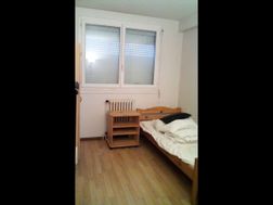 Photo n°6