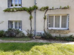 Photo n°6