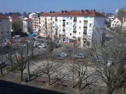 Photo n°5