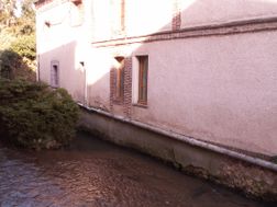 Photo n°6