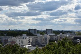 Photo n°6