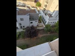 Photo n°6