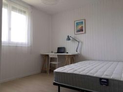 Photo n°4