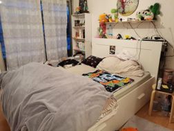 Photo n°6