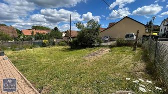 Photo n°11