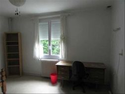 Photo n°3