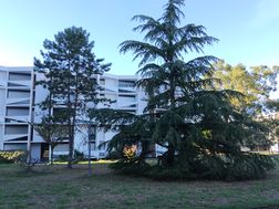 Photo n°4
