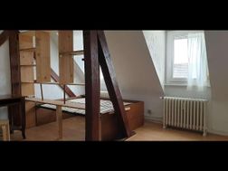 Photo n°2