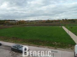 Photo n°5