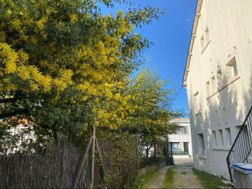 Photo n°4