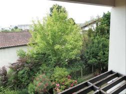 Photo n°7