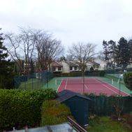 Photo n°6