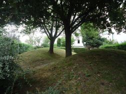 Photo n°5