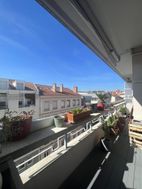 Photo n°6
