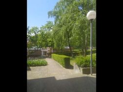 Photo n°3