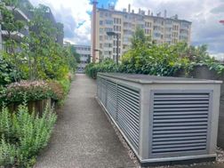 Photo n°5