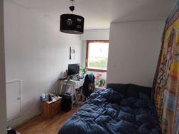 Photo n°3