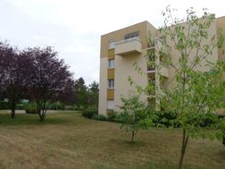 Photo n°5