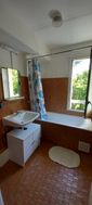 Photo n°6