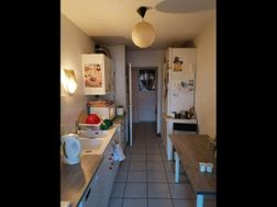 Photo n°4