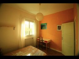 Photo n°6