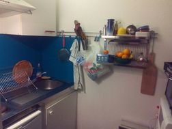 Photo n°4