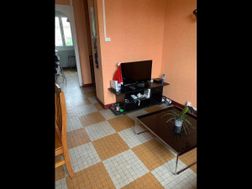 Photo n°4