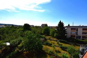 Photo n°5