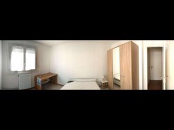 Photo n°4