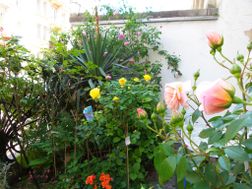 Photo n°2
