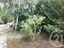 Photo n°4