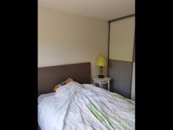 Photo n°1