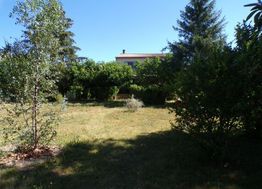 Photo n°3