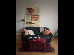 Photo n°1