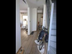 Photo n°6