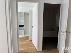 Photo n°5