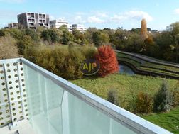 Photo n°6