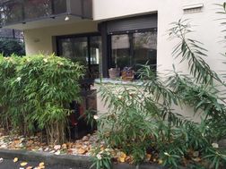 Photo n°3