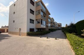 Photo n°6
