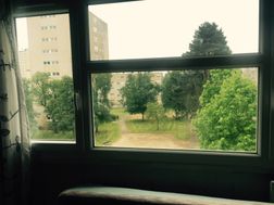 Photo n°2